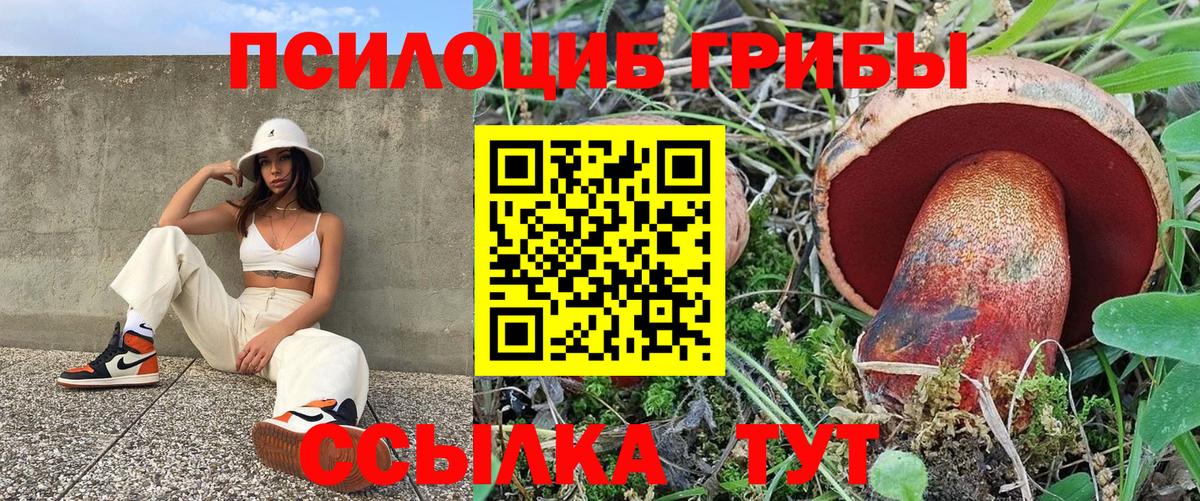 Урус-Мартан  Галлюциногенные грибы ЛСД  закладка  Вход с VPN 