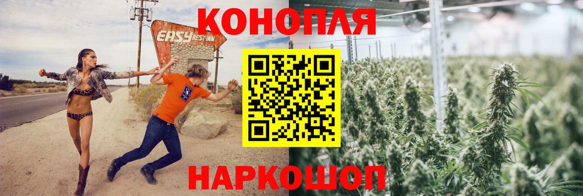 Бошки Шишки AK-47  Шишки марихуана план  Шишки марихуана сатива  Каннабис White Widow  Урус-Мартан  Вход с VPN 